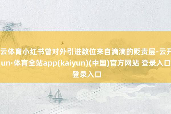 开云体育小红书曾对外引进数位来自滴滴的贬责层-云开yun·体育全站app(kaiyun)(中国)官方网站 登录入口